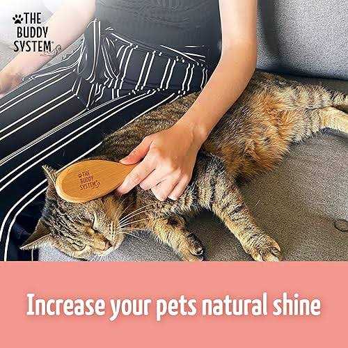 Boar Bristle Wooden Handle Cat Brush U180105