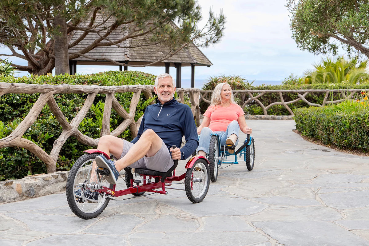 3-Wheeled Cruiser W4693