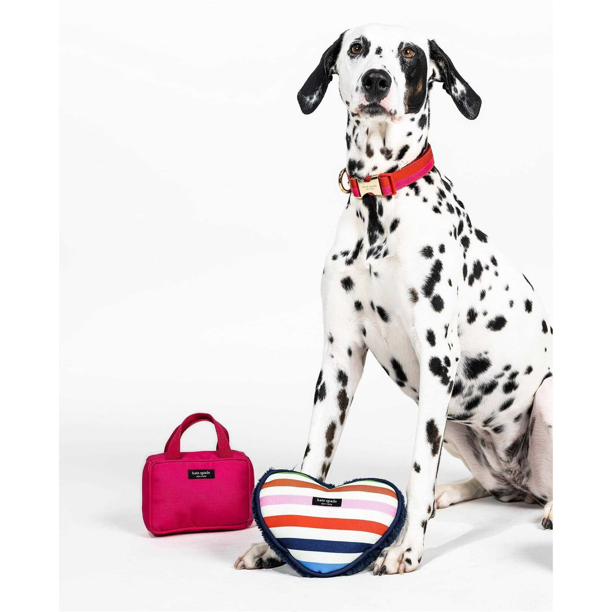 Pink Dog Chew Toy U437806