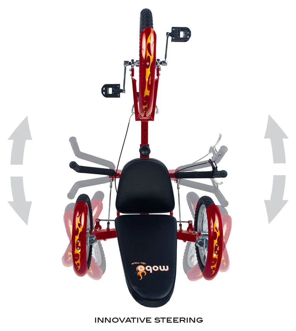 3-Wheeled Cruiser W4693
