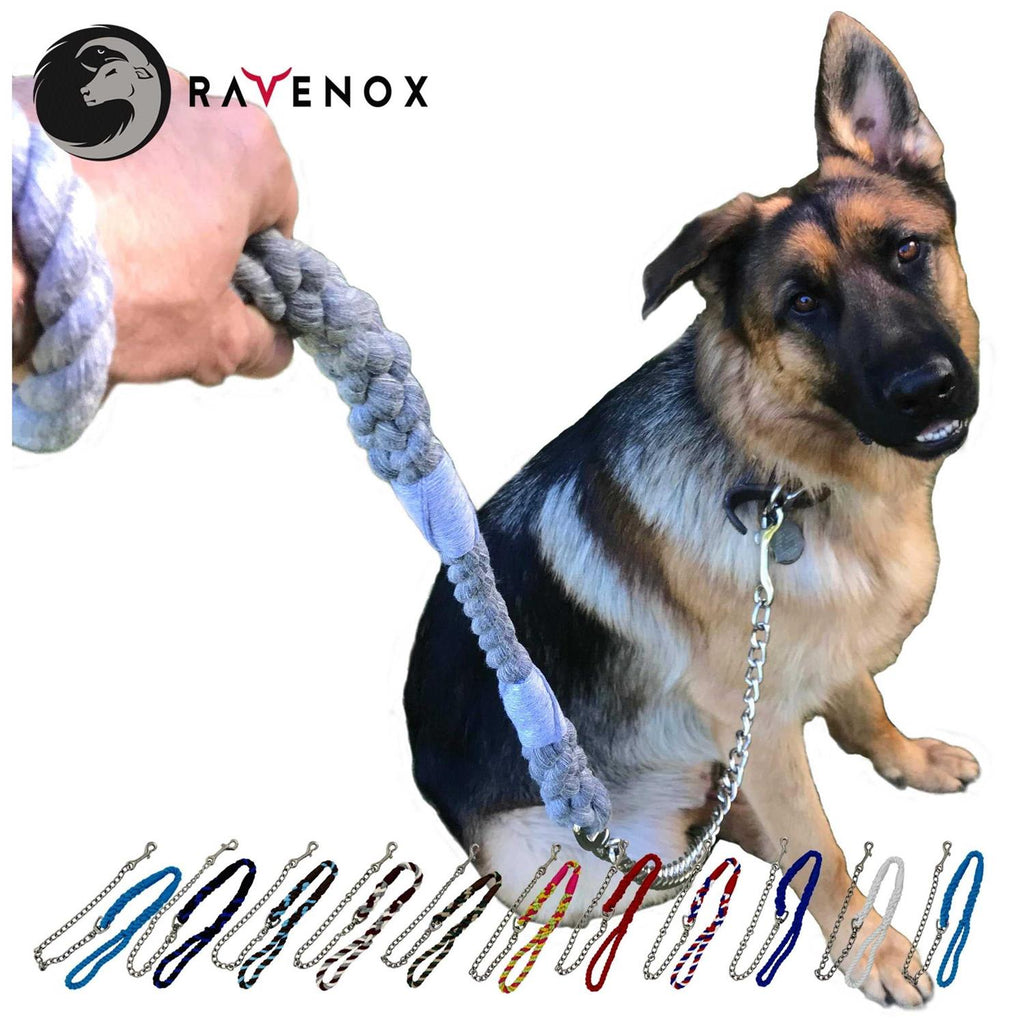 Dog Leash with Chain K7685