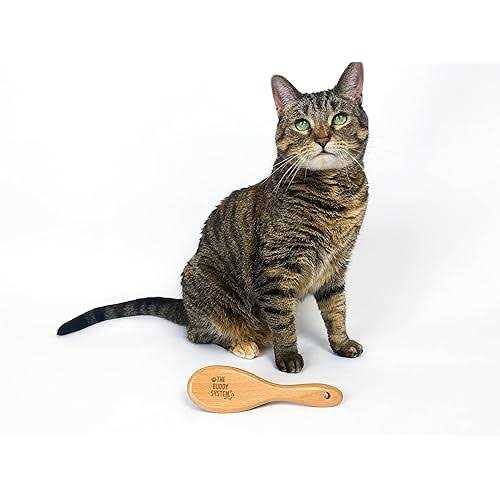 Boar Bristle Wooden Handle Cat Brush U180105
