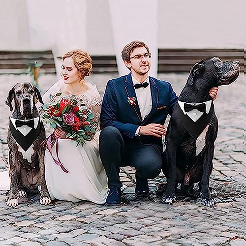 Dog Collar with Bow Tie and Adjustable Buckle A557769