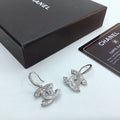 Earrings H210