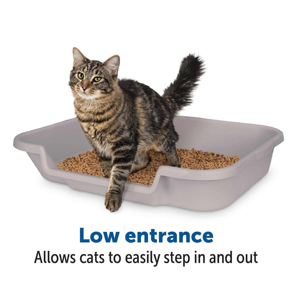 Large Misty Gray Litter Box X827