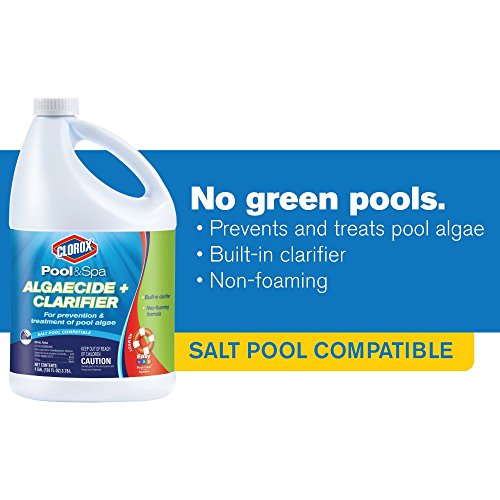 Pool Algaecide L907