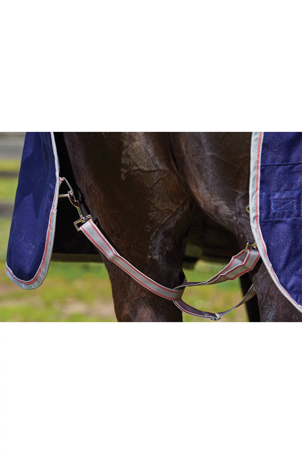 Navy/Silver/Red Standard Neck Medium ComFiTec Essential V55611