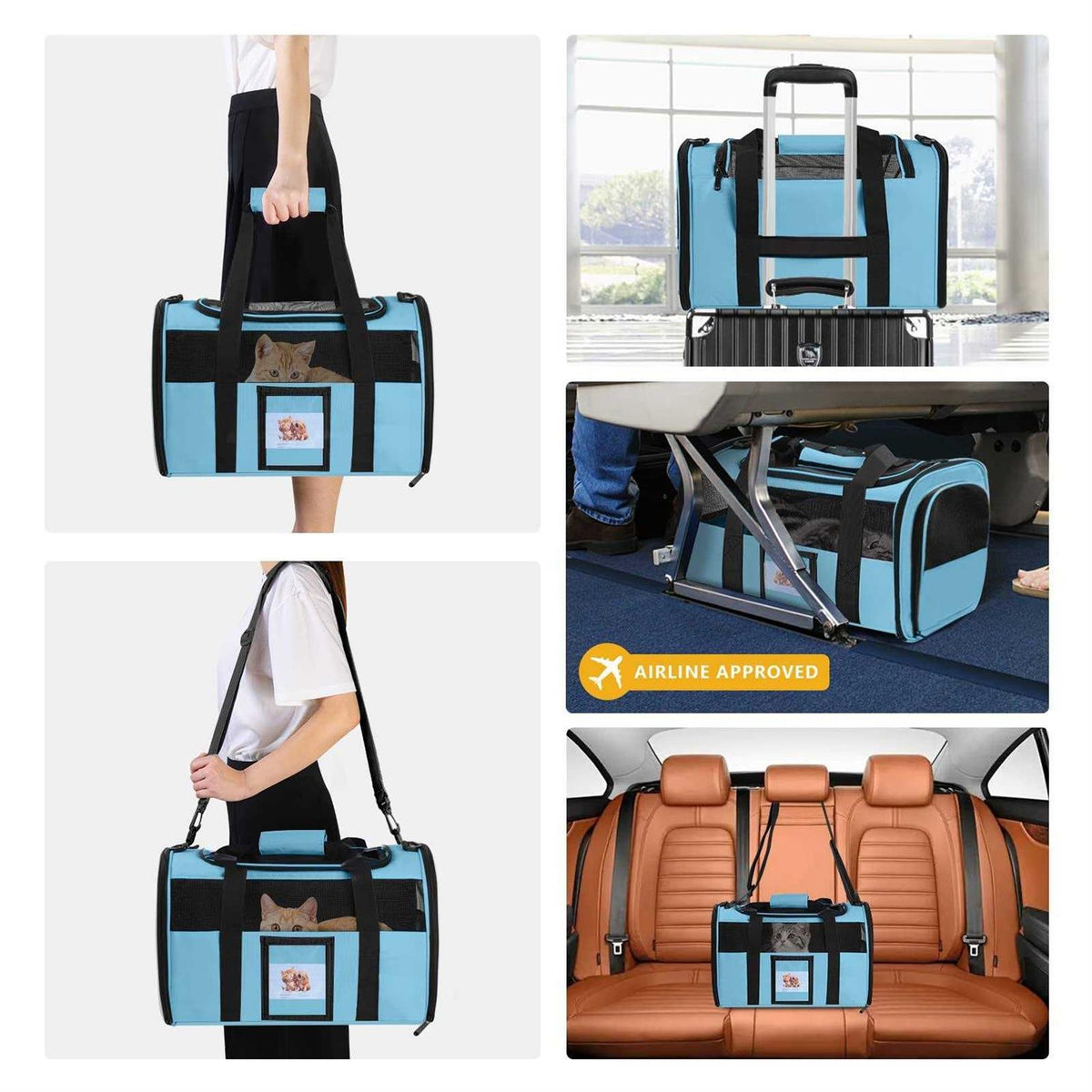 Cat Dog Pet Carrier Airline Approved H645176