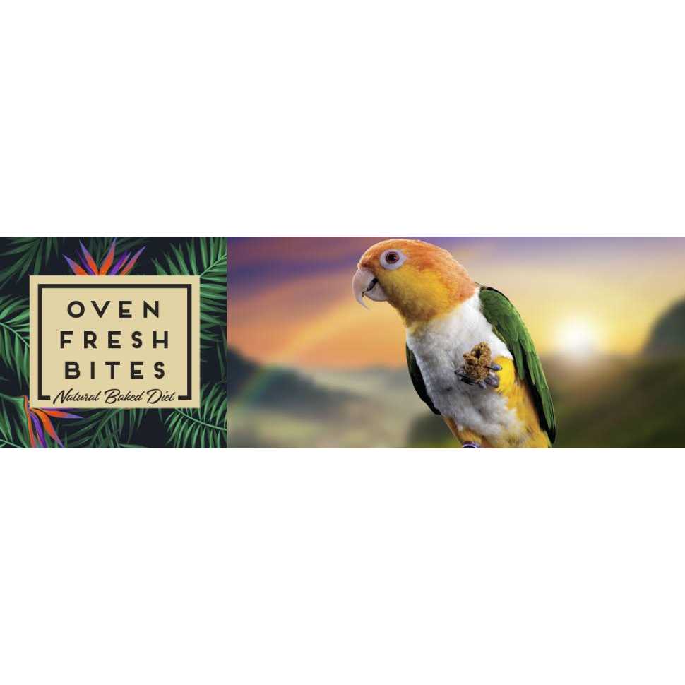 Oven Fresh Bites Medium I324
