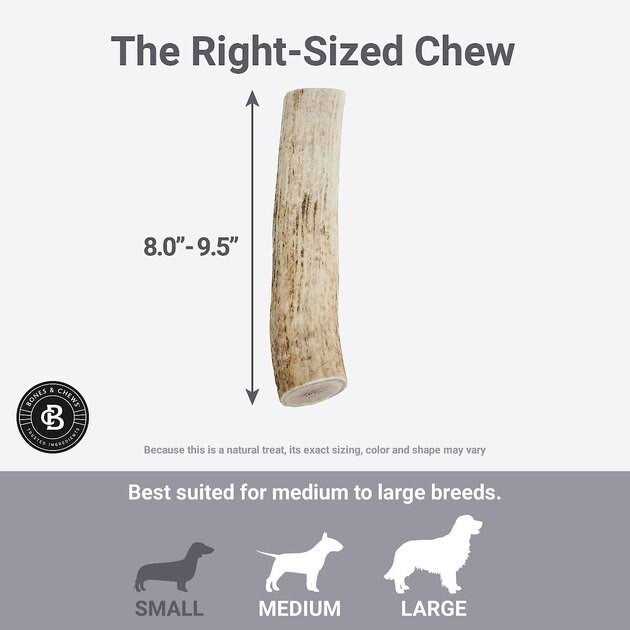 Elk Antler Dog Chew N99444