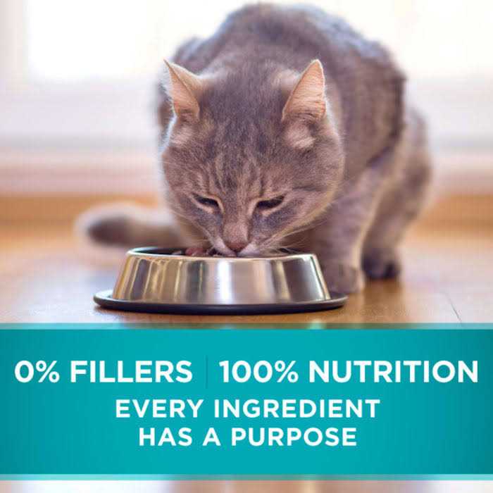 Indoor Advantage Natural Cat Food Ocean Whitefish & Rice V47513