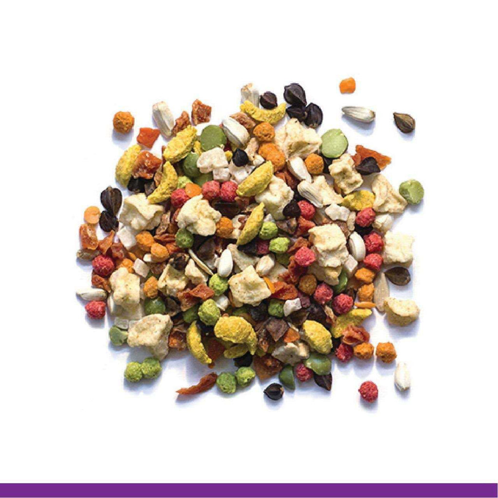 Pure Fun Bird Food C42164