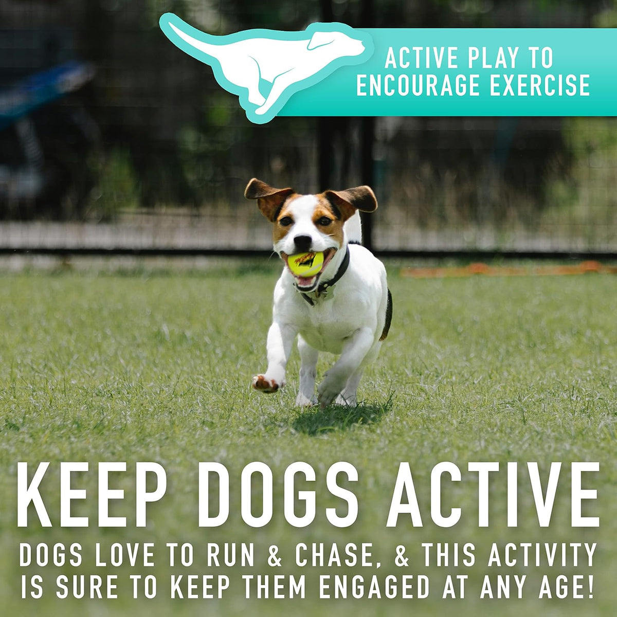 Mini Tennis Ball Launcher for Dogs V4336