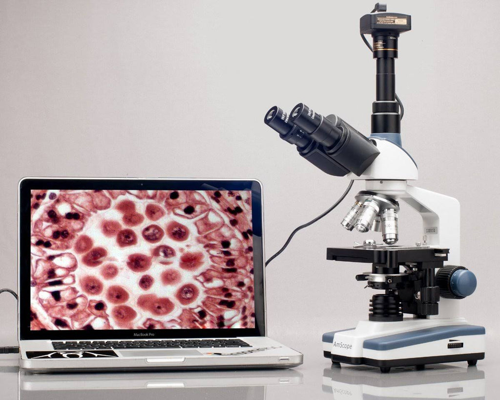 40X-1600X LED Trinocular Compound Microscope W638348