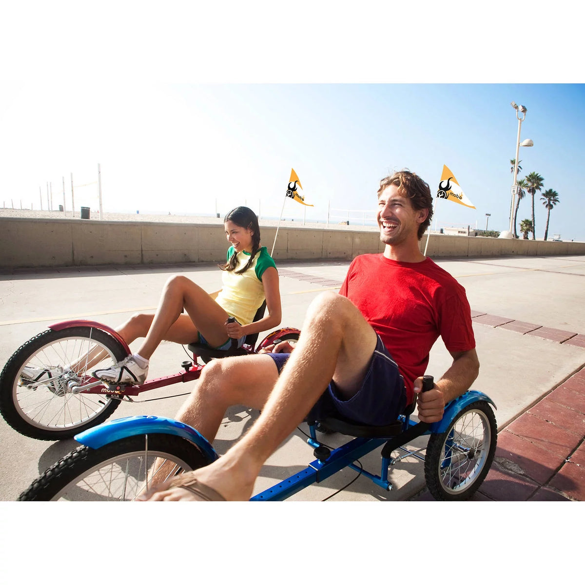 3-Wheeled Cruiser W4693