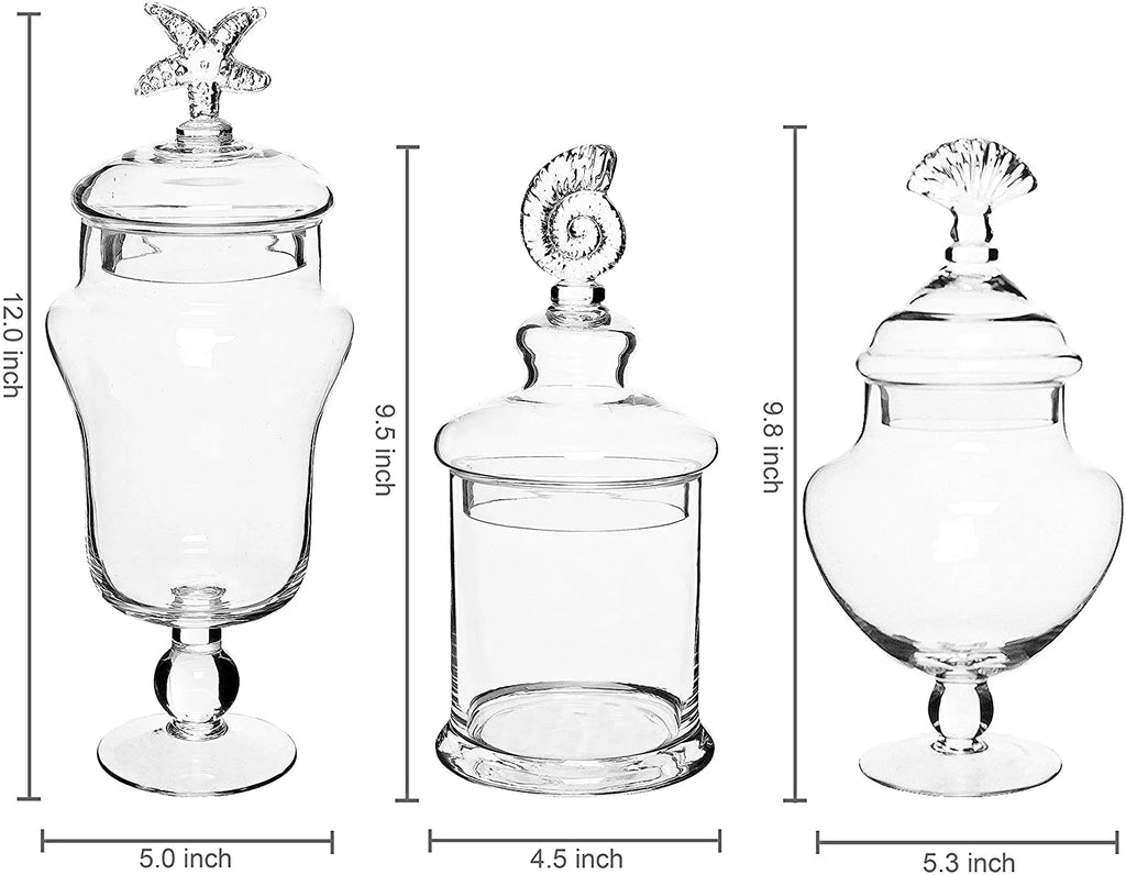 Clear Glass Set of 3 Apothecary Jars A159