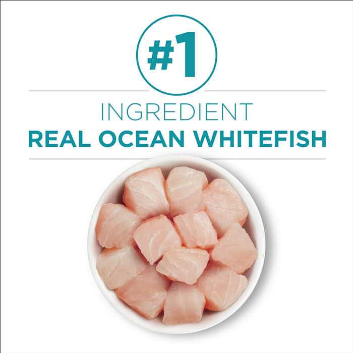 Indoor Advantage Natural Cat Food Ocean Whitefish & Rice V47513