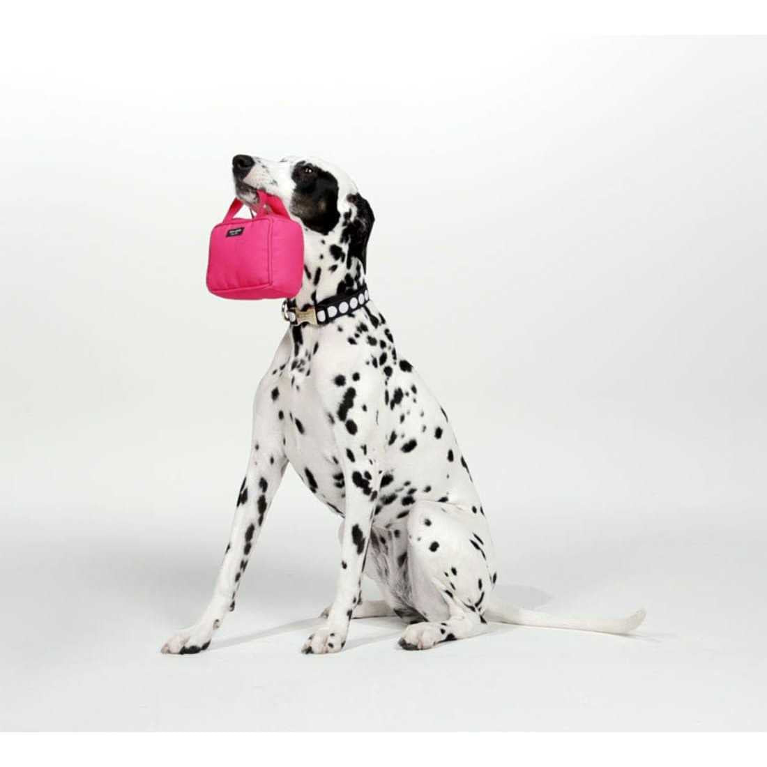Pink Dog Chew Toy U437806