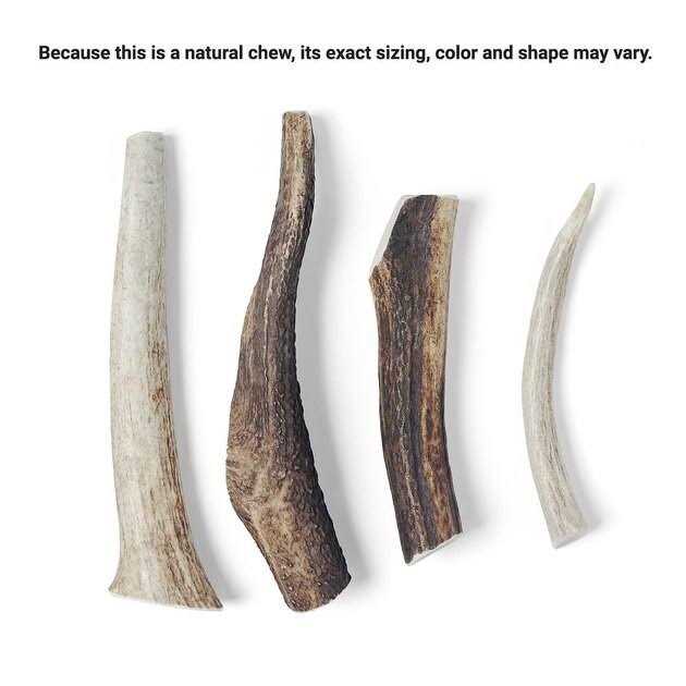 Elk Antler Dog Chew N99444